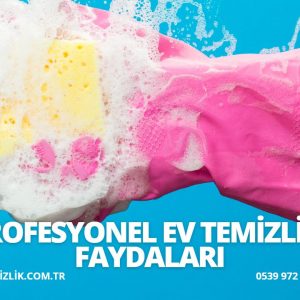 profesyonel-ev-temizligi Profesyonel Ev Temizliği Faydaları