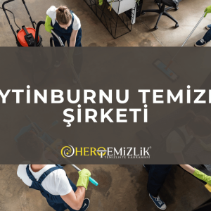 Zeytinburnu Temizlik Şirketi